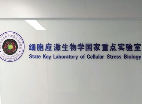 廈門大學實驗室